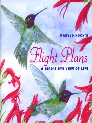 cover image of Flight Plans